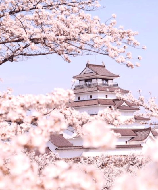 【福島自由行｜1. 鶴城（會津若松城）】